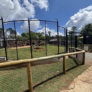 Wild Animal Safari - "Arctic" Wolf enclosure (5/4/25)