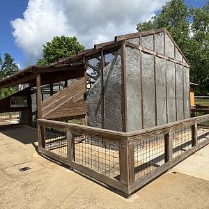 Wild Animal Safari - Ring-Tailed Lemur enclosure (5/4/25)