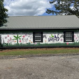 Georgia Untamed Zoo - Entrance Mural (5/5/25)