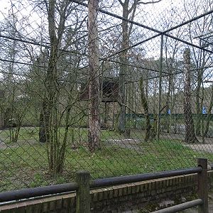 Aviary for griffon vulture