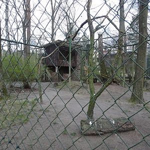 Aviary for spotted eagle-owl