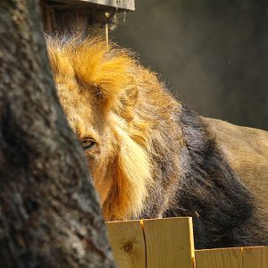 Spotted by Bhanu- 12th May 2025