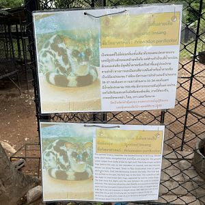 "Spotted Linsang" Sign