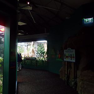 View inside Reptile house 11.2.25