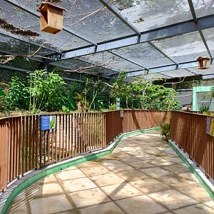 Walkthrough aviary - Belo Horizonte zoo