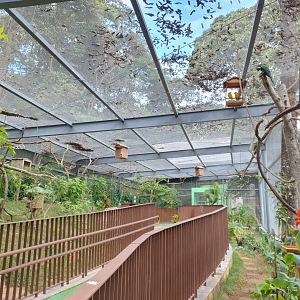 Walkthrough aviary - Belo Horizonte zoo