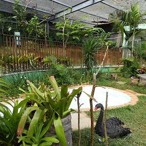 Walkthrough aviary - Belo Horizonte zoo