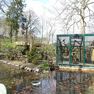 Squirrel monkey enclosure