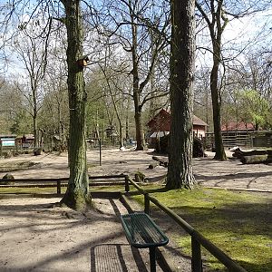 Llama / greater rhea enclosure