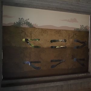 Future naked mole-rat exhibit in the small monkey house, 2025-05-14