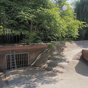 Construction work to transform the former hippopotamus exhibit into exhibits for pygmy hippopotamuses, 2025-05-14