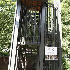 Access to the upper viewing area on top of the hippo house, 2025-05-14