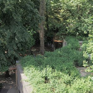 Malayan tapir house and exhibit seen from the access to the upper viewing area on top of the hippo house, 2025-05-14
