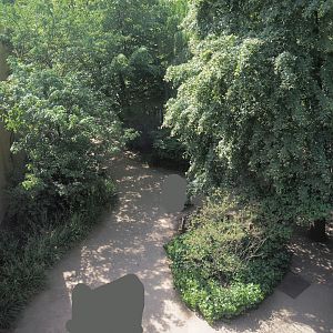 Walkway between hippo and tapir houses seen from the access to the upper viewing area on top of the hippo house, 2025-05-14