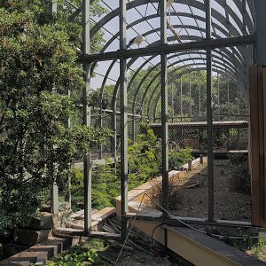 Hippo house aviary, 2025-05-14