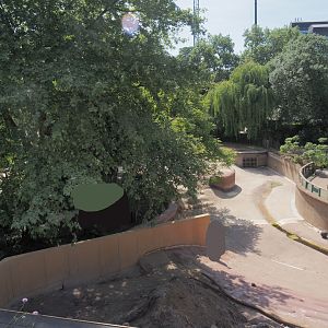 Construction work to transform the former hippopotamus exhibit into exhibits for pygmy hippopotamuses, 2025-05-14