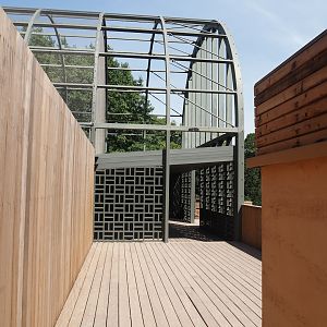 Upper viewing area on top of the hippo house - Aviary viewing area, 2025-05-14