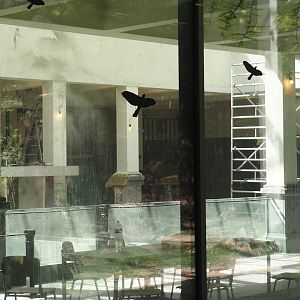 Construction work inside hippo house to transform the former hippopotamus exhibit into exhibits for pygmy hippopotamuses, 2025-05-14