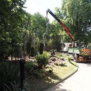 Replanting the desert garden and bringing cacti and agaves outside after winter, 2025-05-14