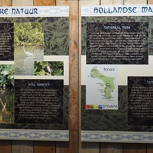 Mangroves signage, 2024-06-30