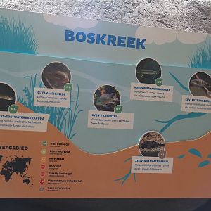 Forest creek exhibit signage, 2024-06-30