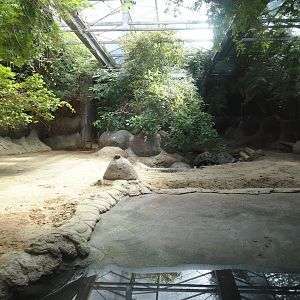 Galapagos giant tortoise indoor exhibit, 2024-06-30