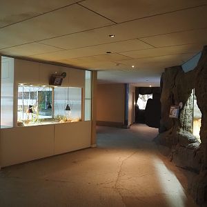 Conservation Center, 2024-06-30