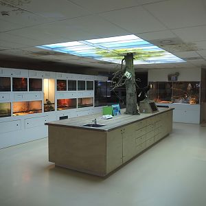 Conservation Center, 2024-06-30