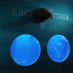 Moon jellyfish and plastic in the sea comparison display (Now gone), 2024-06-30