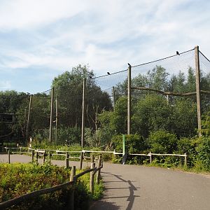 Steller's sea eagle aviary, 2024-06-30