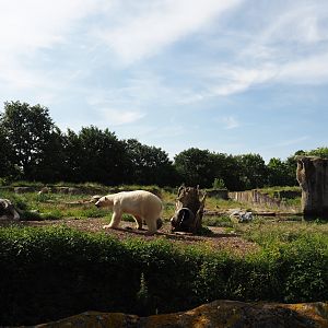 Polar bear exhibit, 2024-06-30