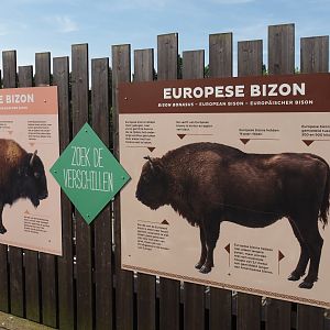 American bison and European bison comparison signs, 2024-06-30