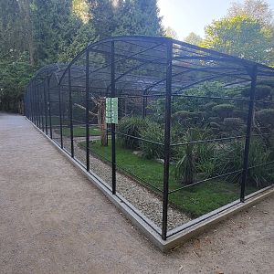 Aviaries
