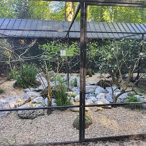 Aviaries