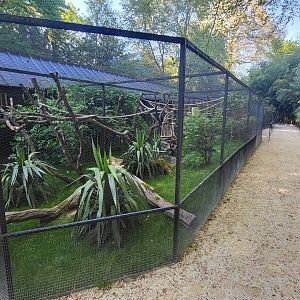 Aviaries