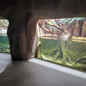 Anaconda exhibit