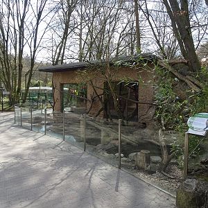Small-clawed otter enclosure
