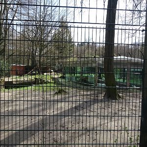 Lion enclosure