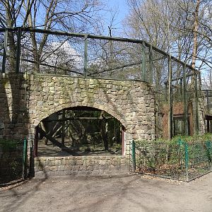 Great cat enclosure (currently lion?)