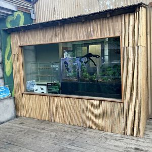 Butterfly Hatchery/Tarantula Exhibits