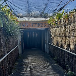 New Zealand Forest Building