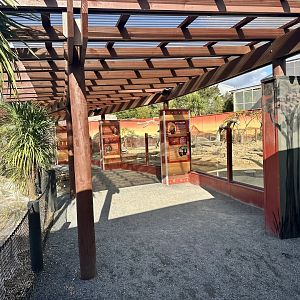 Slender-tailed Meerkat/Cape Porcupine Exhibit