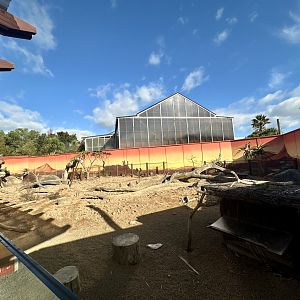 Slender-tailed Meerkat/Cape Porcupine Exhibit
