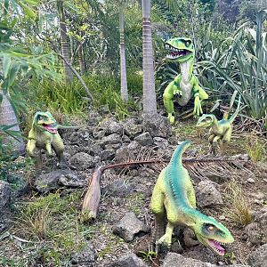 Dinosaur Track - Velociraptor Family