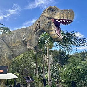 Dinosaur Track - Tyrannosaurs rex