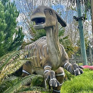 Dinosaur Track - Parasaurolophus