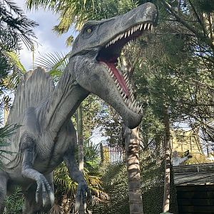 Dinosaur Track - Spinosaurus