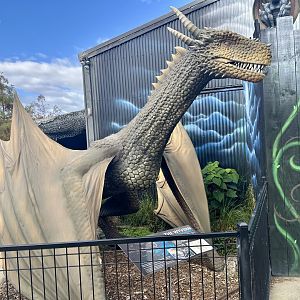 Mythic Creatures Hall - Dragon Exhibit 1