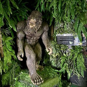 Mythic Creatures Hall - Bigfoot Exhibit