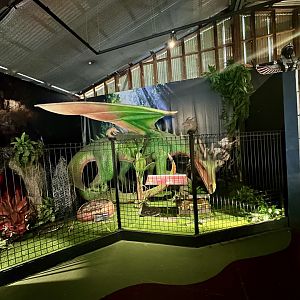 Mythic Creatures Hall - Dragon Exhibit 2